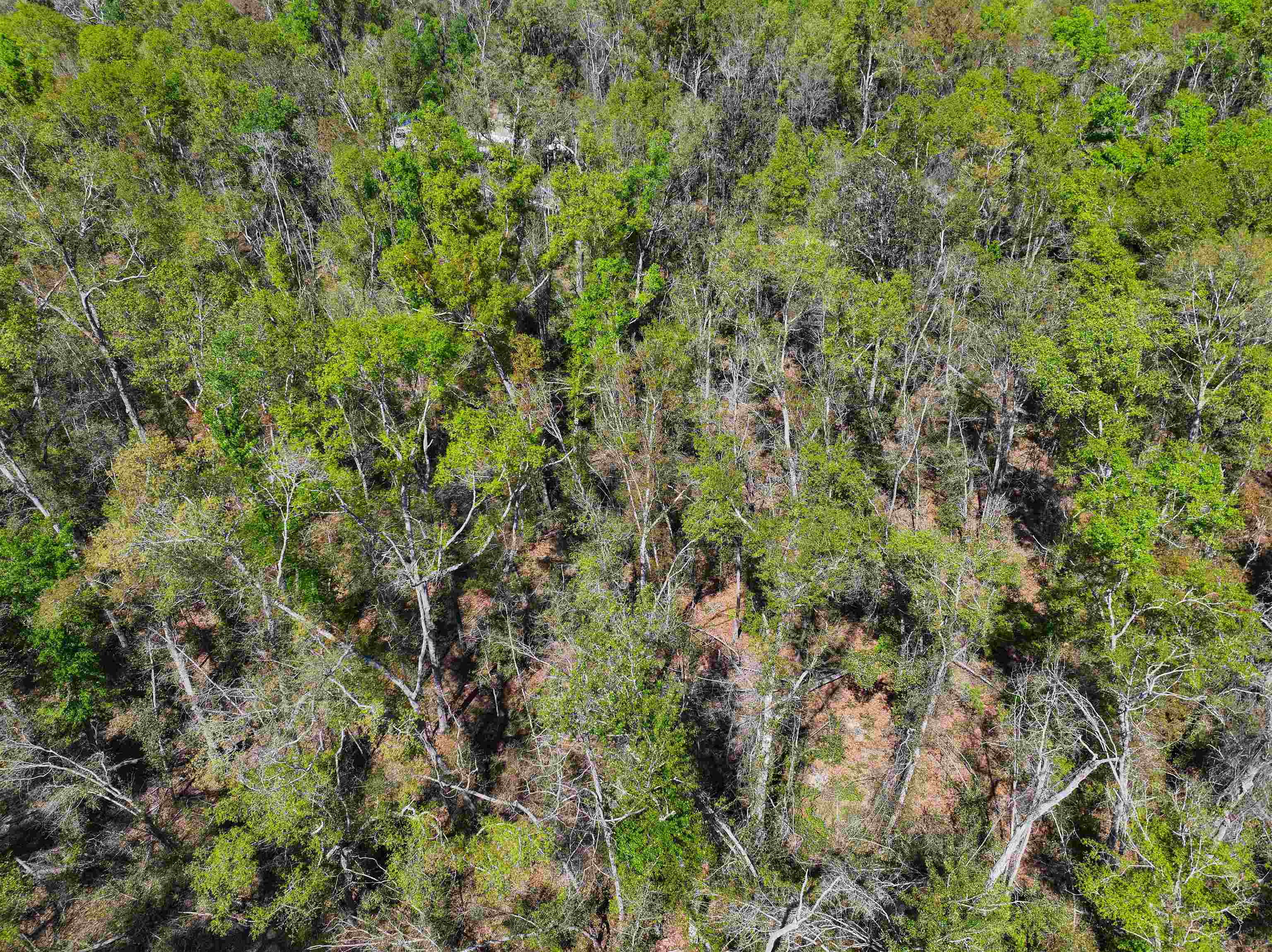 Xxx Northeast Champion Loop Lee, FL 32059 - Photo 10 of 14