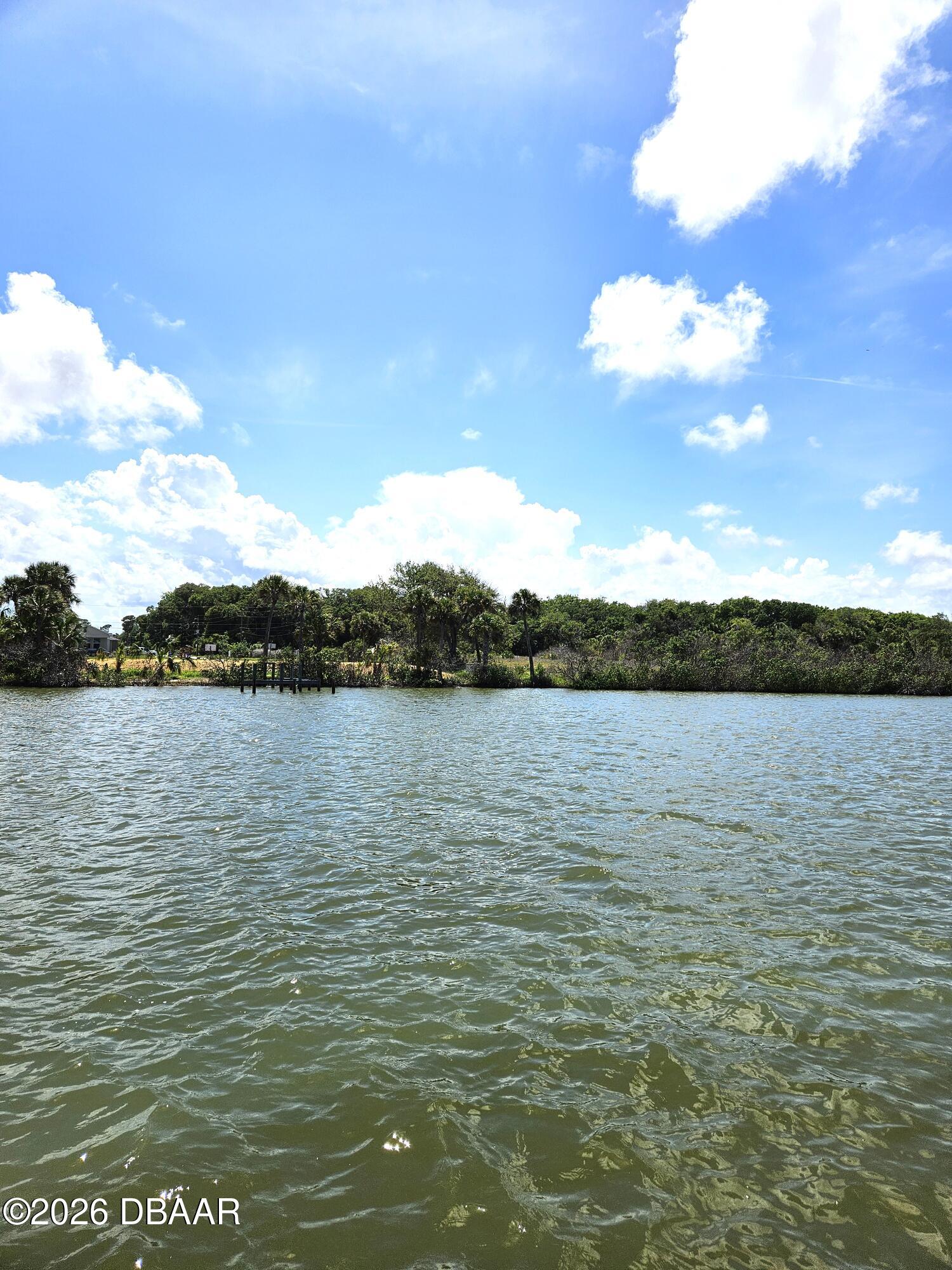 0 Jones Fish Camp Road Edgewater, FL 32141 - Photo 8 of 14 river lots 1