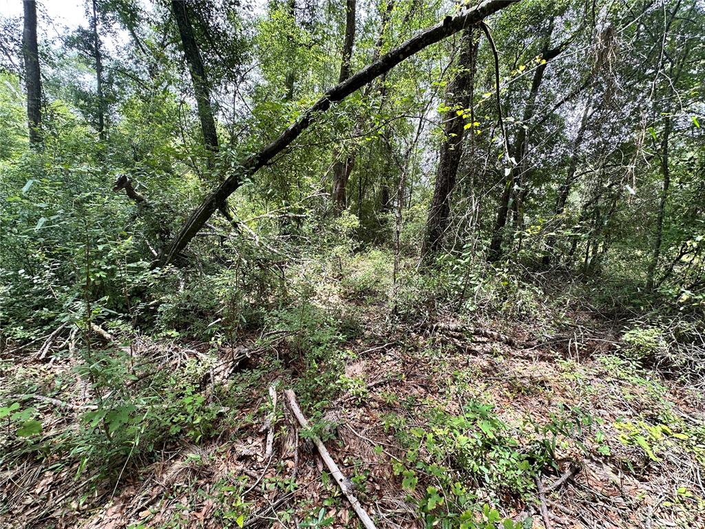 349 North County Road O'Brien, FL 32071 - Photo 6 of 13