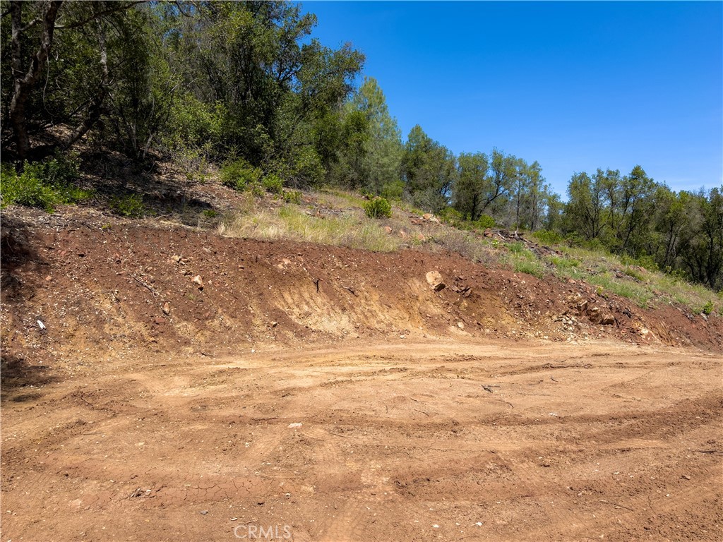 10 Miller Road Mariposa, CA 95338 - Photo 4 of 34 a view of a yard with a tree