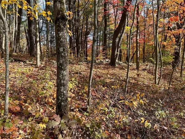 $599,999 | 1 Hill Road, Austerlitz, NY 12017