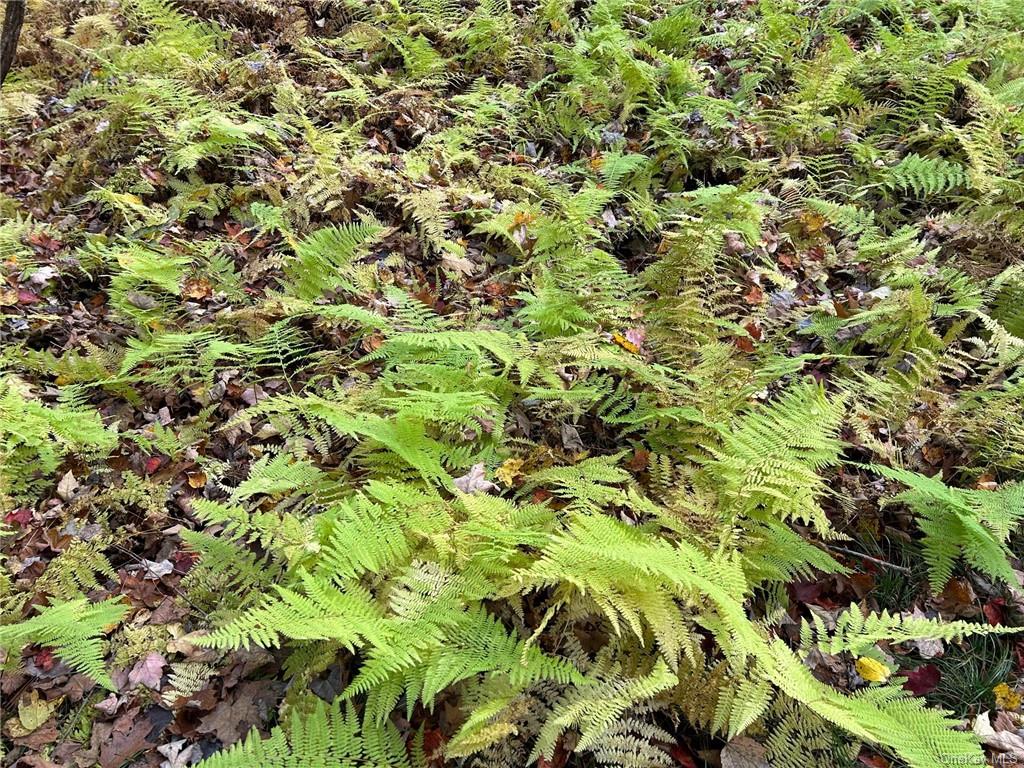 1 Hill Road Austerlitz, NY 12017 - Photo 12 of 15