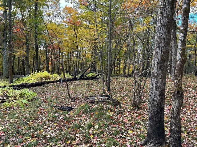 $599,999 | 1 Hill Road, Austerlitz, NY 12017