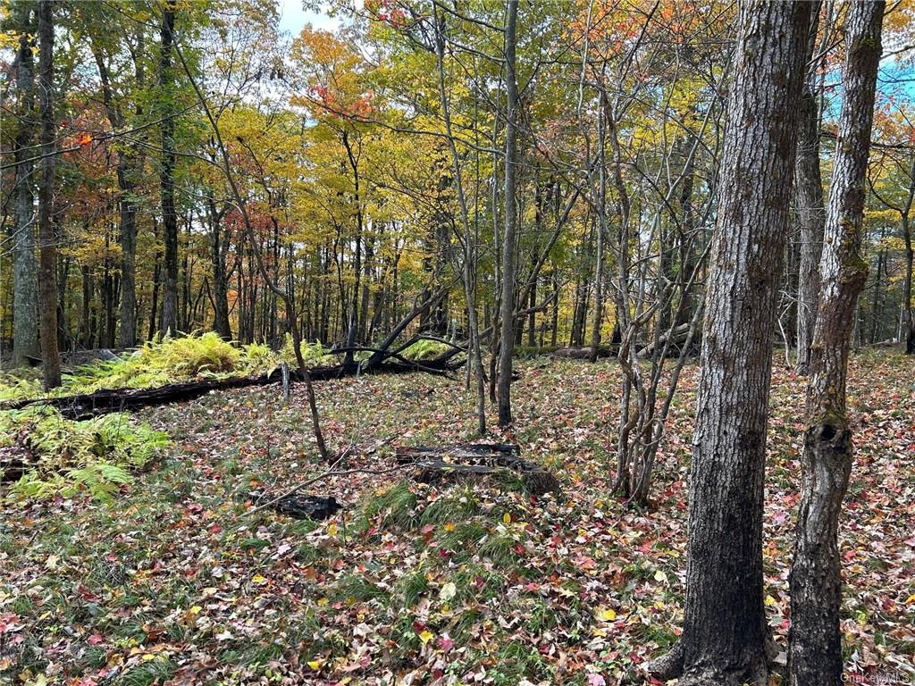 1 Hill Road Austerlitz, NY 12017 - Photo 3 of 15