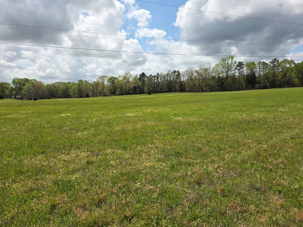0 Boyce Page Road Honea Path, SC 29654 - Photo 2 of 4