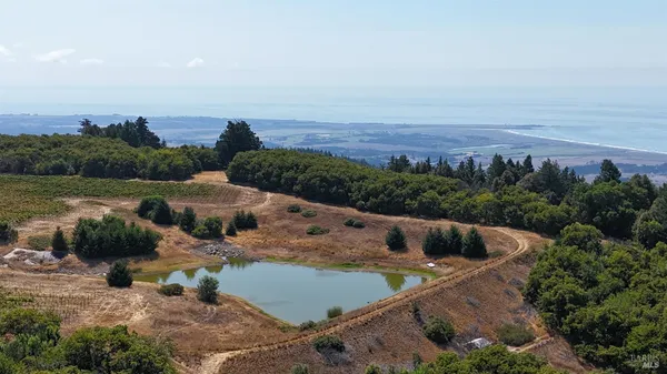 $3,000,000 | 39000 Crispin Road, Manchester, CA 95459