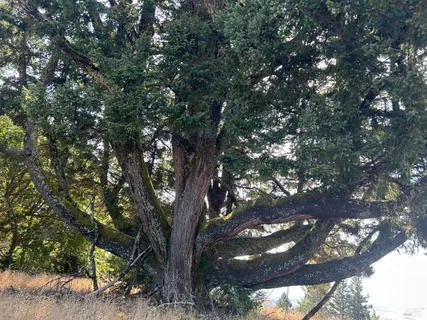 $3,000,000 | 39000 Crispin Road, Manchester, CA 95459