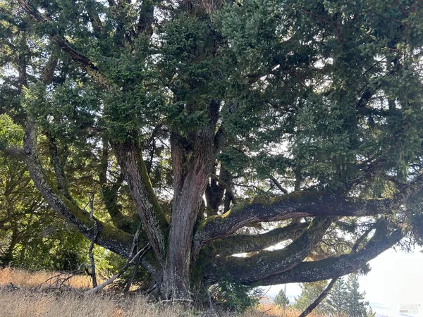 $3,000,000 | 39000 Crispin Road, Manchester, CA 95459