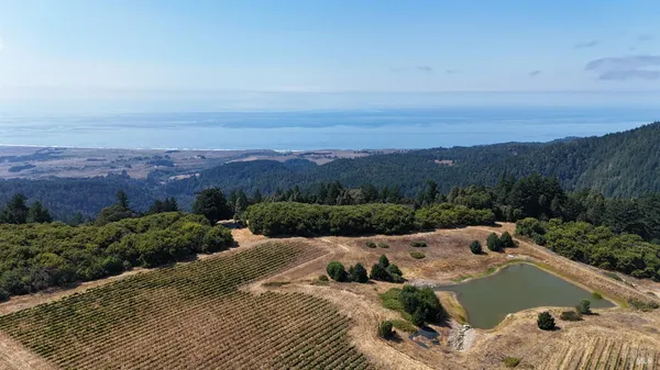 $3,000,000 | 39000 Crispin Road, Manchester, CA 95459