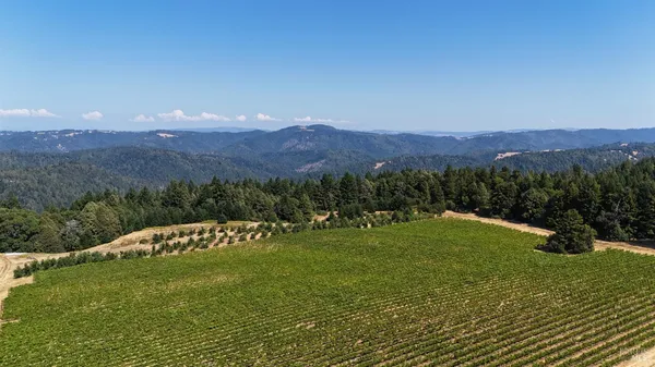 $3,000,000 | 39000 Crispin Road, Manchester, CA 95459