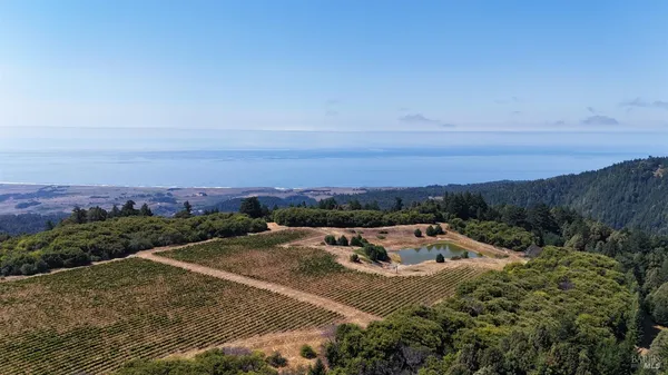 $3,000,000 | 39000 Crispin Road, Manchester, CA 95459