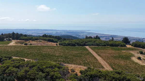 $3,000,000 | 39000 Crispin Road, Manchester, CA 95459