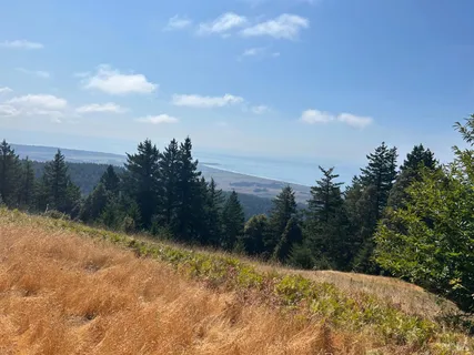 $3,000,000 | 39000 Crispin Road, Manchester, CA 95459
