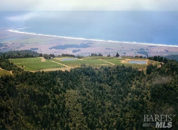 $3,000,000 | 39000 Crispin Road, Manchester, CA 95459