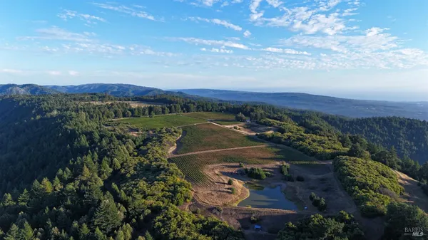 $3,000,000 | 39000 Crispin Road, Manchester, CA 95459