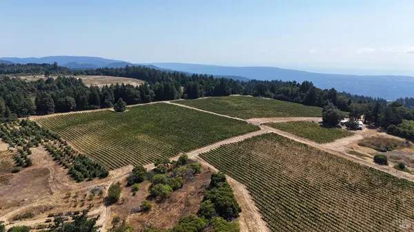 $3,000,000 | 39000 Crispin Road, Manchester, CA 95459