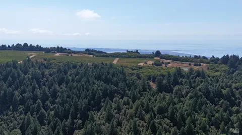 $3,000,000 | 39000 Crispin Road, Manchester, CA 95459