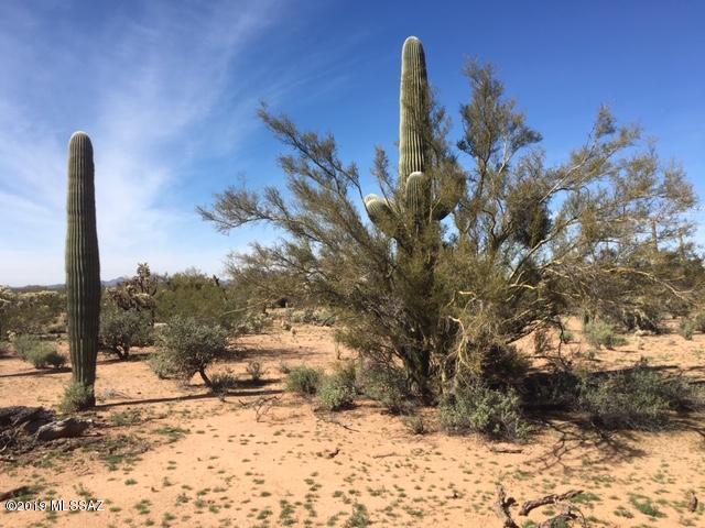 12950 West Fort Lowell Road Tucson, AZ 85743 - Photo 10 of 20