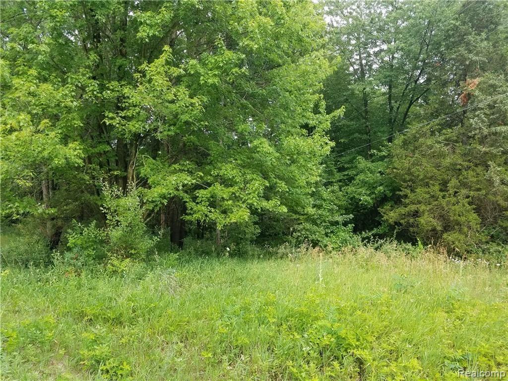 0 Surrey Lane Pinckney, MI 48169 - Photo 2 of 8