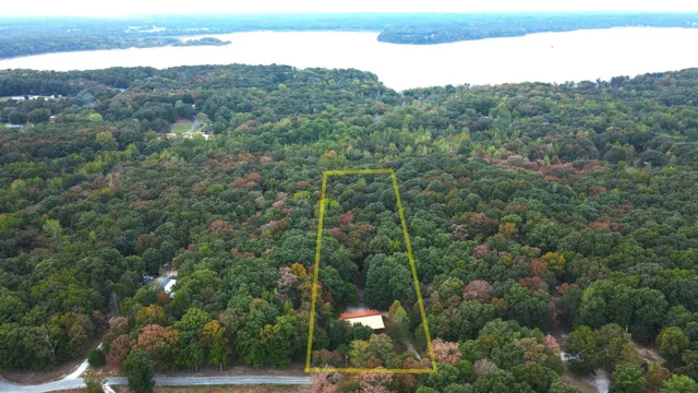 a view of a forest with a street