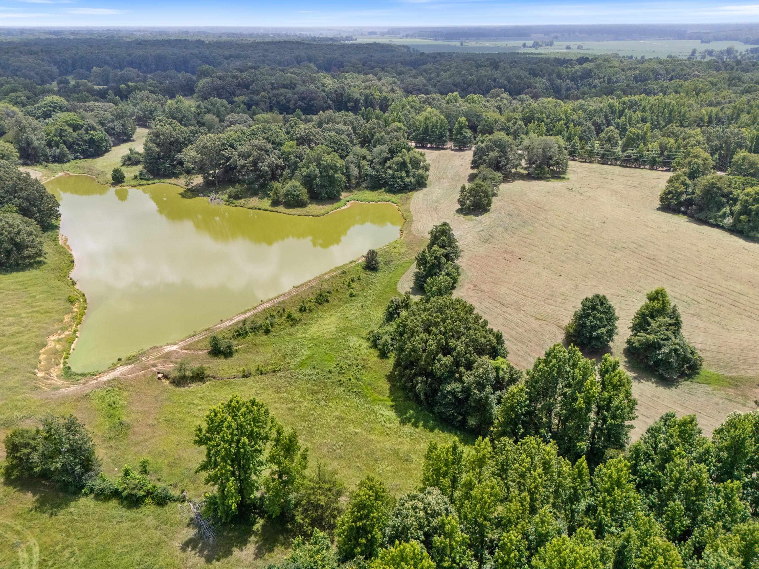 1150 Veazey Road Coldwater, MS 38618 - Photo 13 of 31 Gallery Image 13