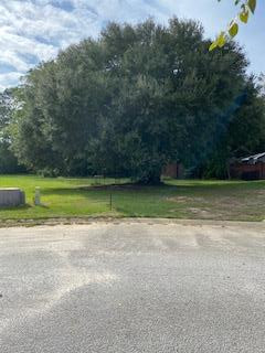20 Saresden Cove Sumter, SC 29150 - Photo 1 of 4
