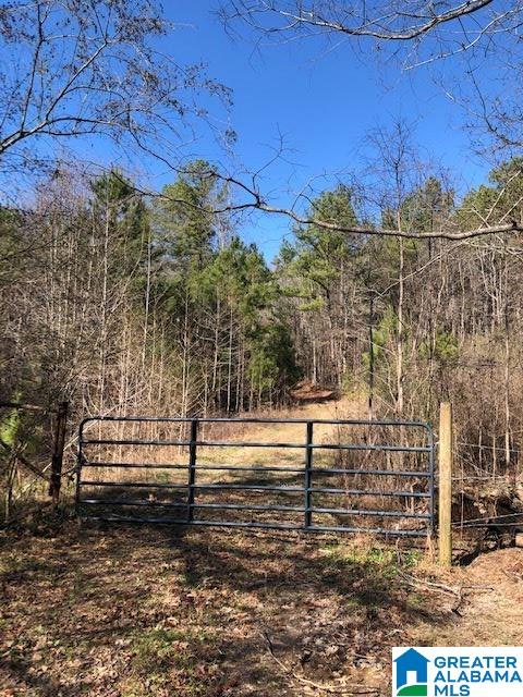 0 Blackjack Road, Unit 24 Trussville, AL 35173 - Photo 1 of 21