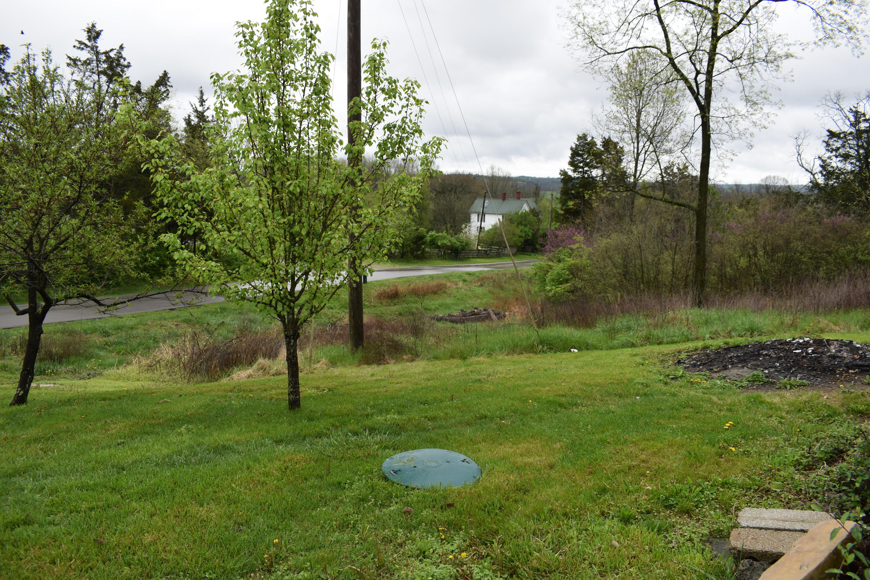 866 McCouns Ferry Road Salvisa, KY 40372 - Photo 2 of 13 DSC_0011