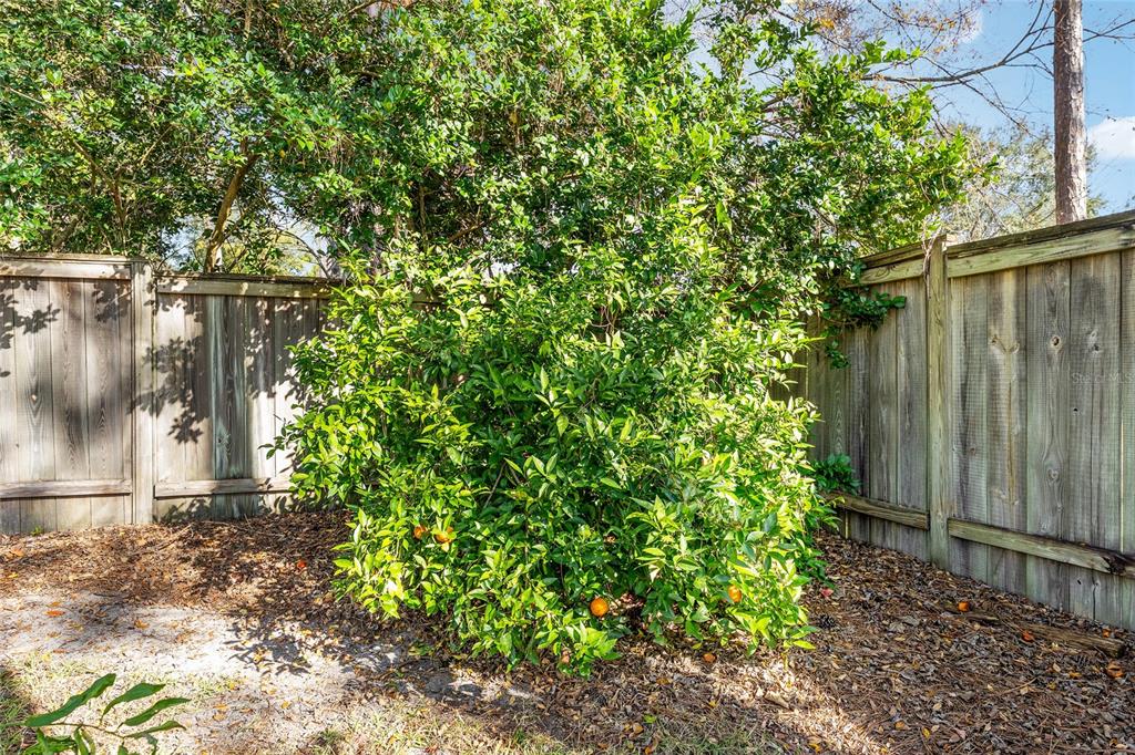 6931 Southwest 84 Drive Gainesville, FL 32608 - Photo 31 of 36