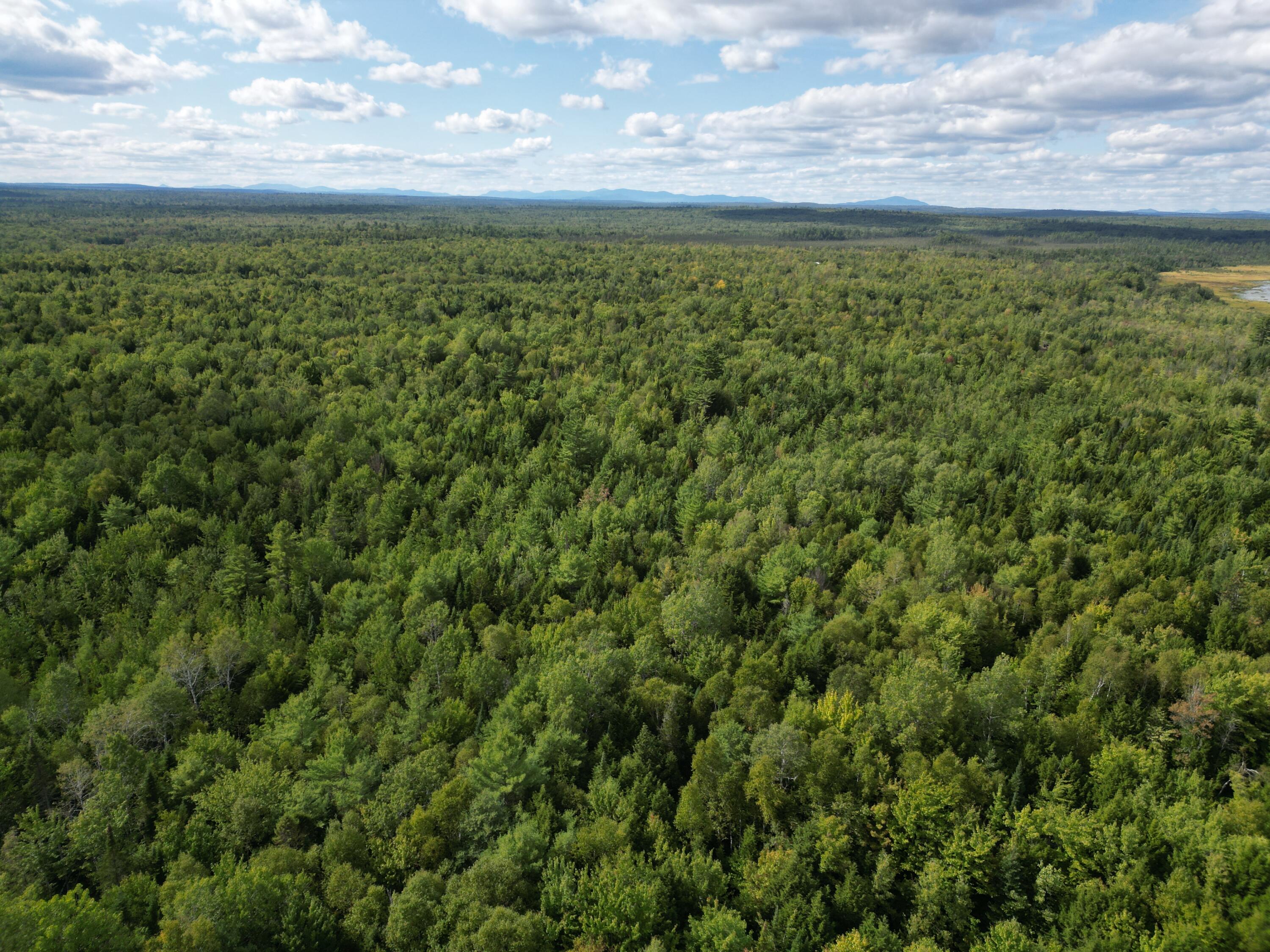 Lot 39 Seboeis Road Howland, ME 04448 - Photo 12 of 13 DJI_0969