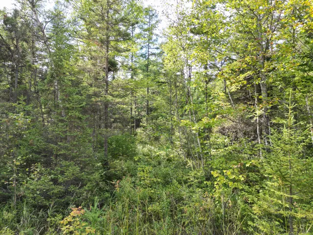 $34,900 | Lot 39 Seboeis Road, Howland, ME 04448