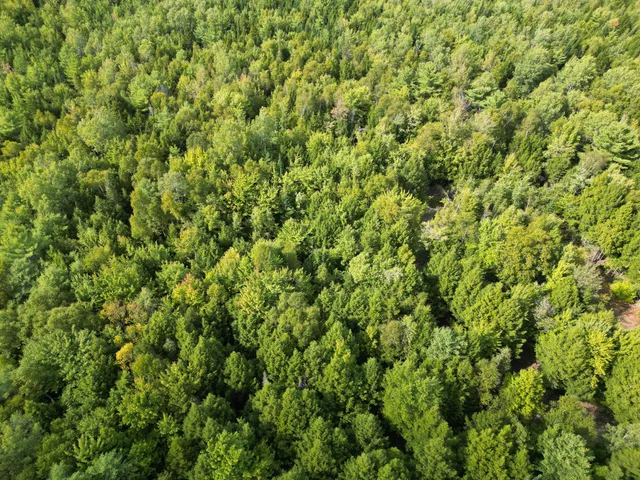 $34,900 | Lot 39 Seboeis Road, Howland, ME 04448