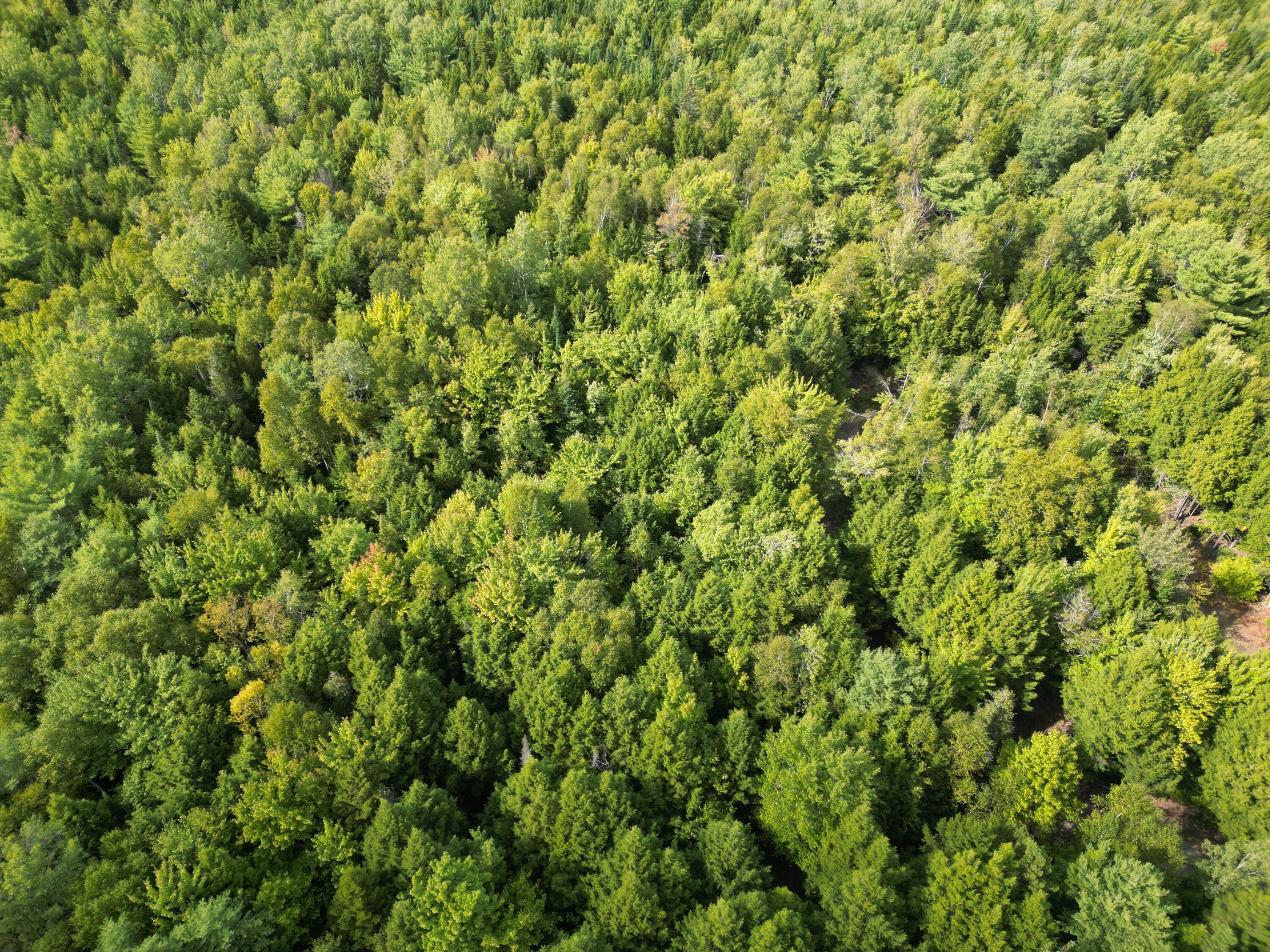 Lot 39 Seboeis Road Howland, ME 04448 - Photo 6 of 13 DJI_0971