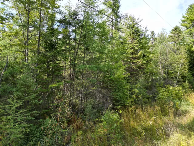 $34,900 | Lot 39 Seboeis Road, Howland, ME 04448