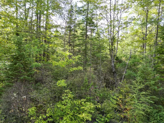 $34,900 | Lot 39 Seboeis Road, Howland, ME 04448