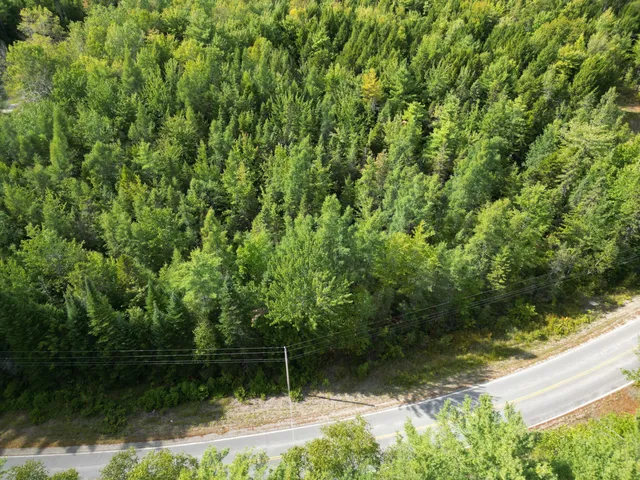 $34,900 | Lot 39 Seboeis Road, Howland, ME 04448