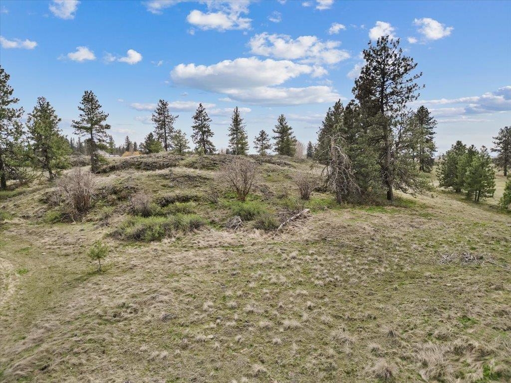 Nka North Flint Road Spokane, WA 99224 - Photo 11 of 18