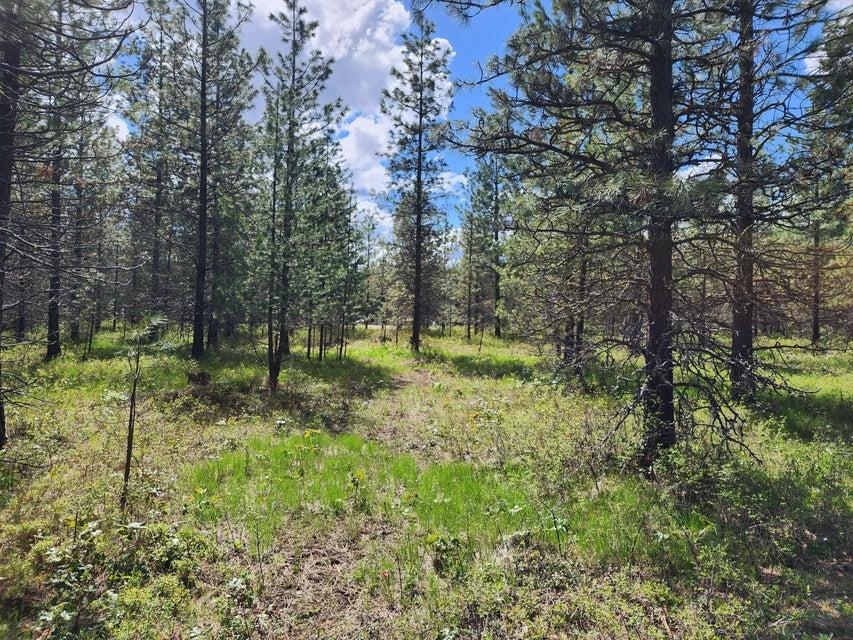 358 X Little Sweden Road Valley, WA 99181 - Photo 2 of 9