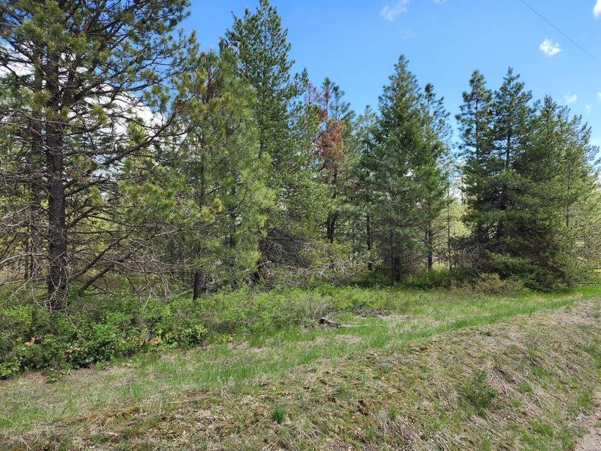358 X Little Sweden Road Valley, WA 99181 - Photo 6 of 9