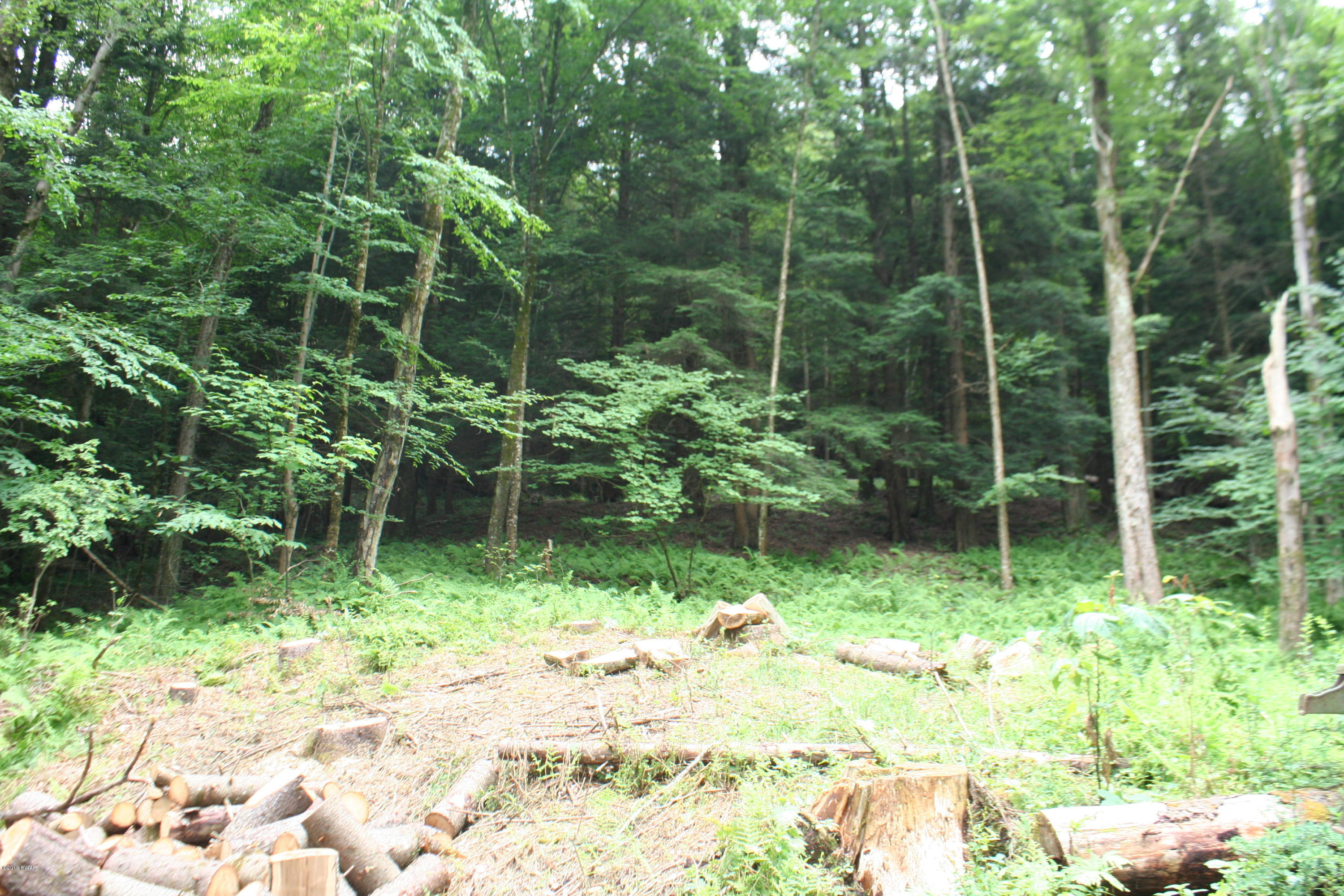 331 Starlight Lake Road Starlight, PA 18461 - Photo 8 of 17