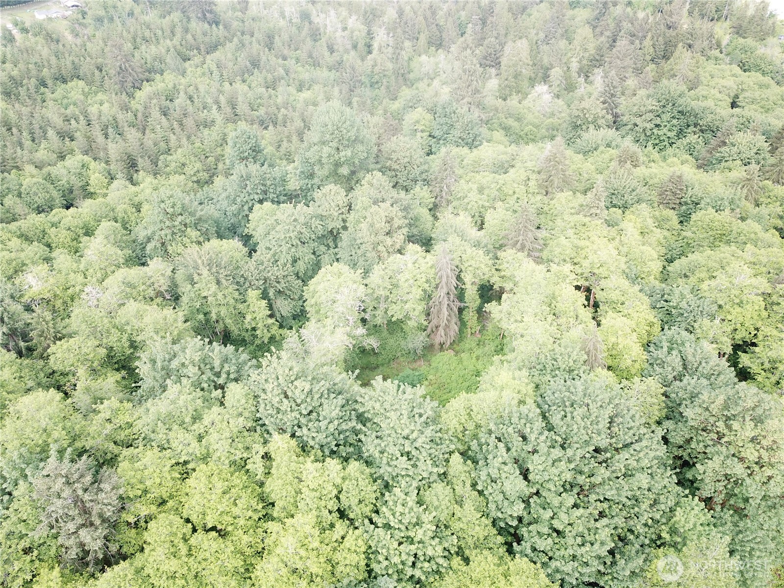 450 West Reller Road Shelton, WA 98584 - Photo 17 of 18 Gallery Image 17