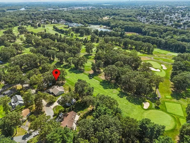an aerial view of residential houses with outdoor space and trees