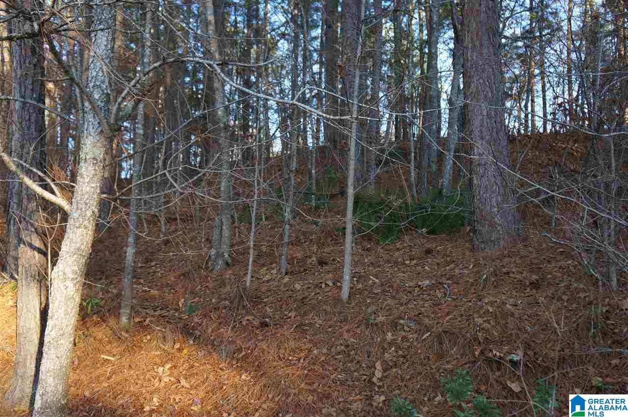 0 Azalea Road, Unit 92 ACRES Sylacauga, AL 35150 - Photo 3 of 9