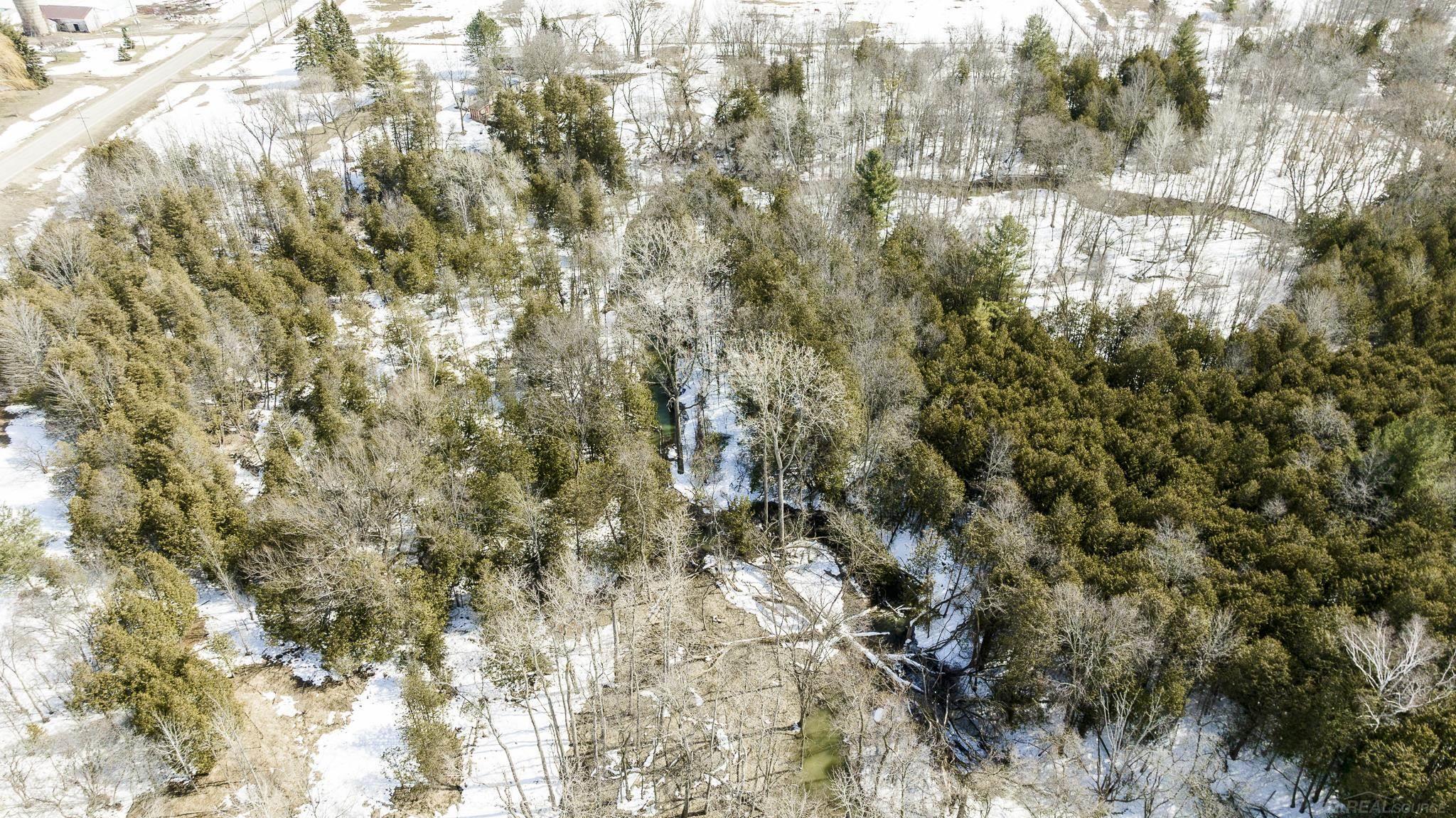 4950 Forester Road Carsonville, MI 48419 - Photo 8 of 13
