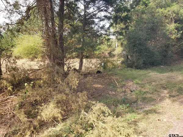 a view of a yard with trees