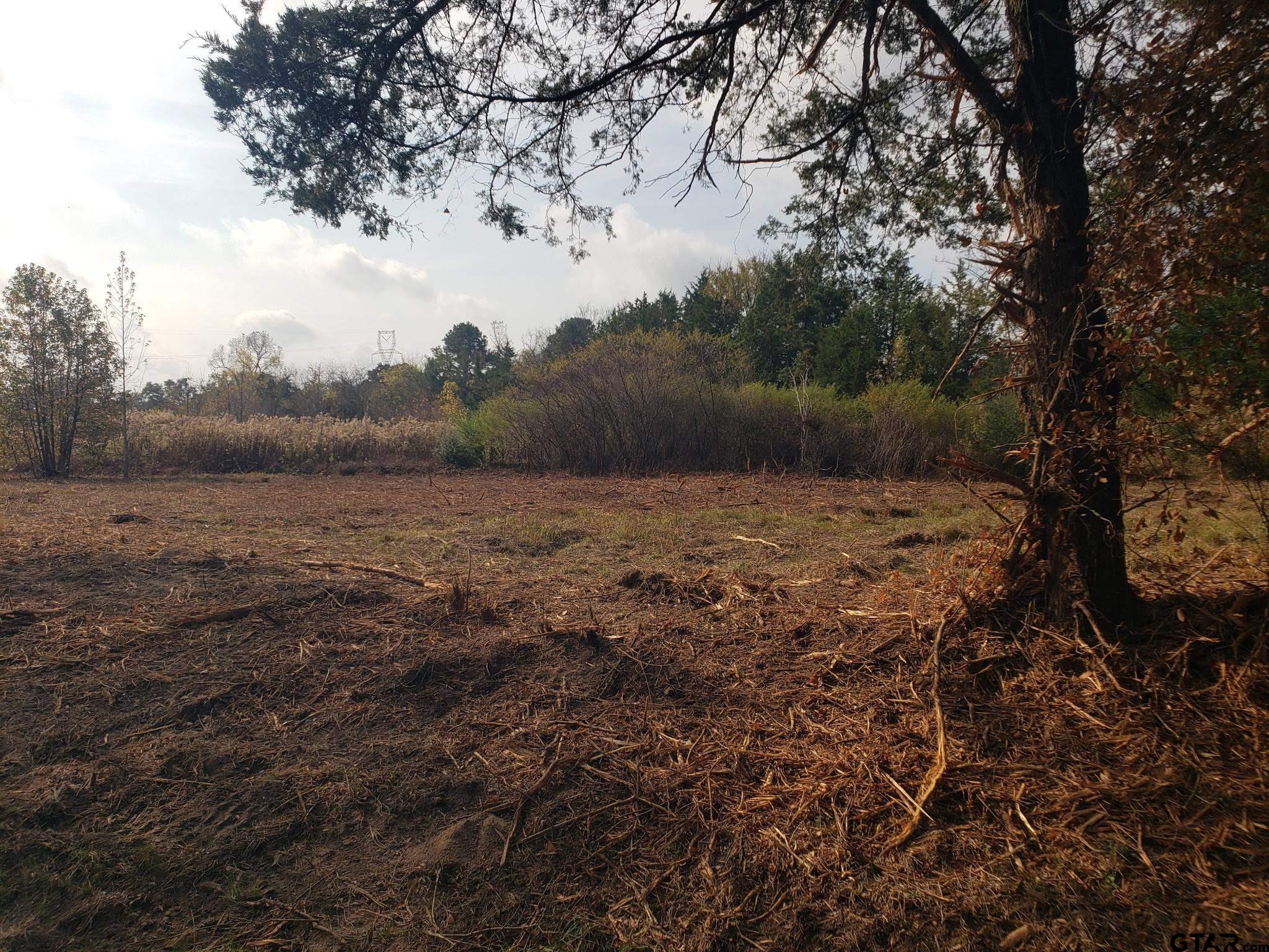 1552 10.097 Ac Long Branch Long Branch, TX 75669 - Photo 12 of 16 a view of mountain with lake view