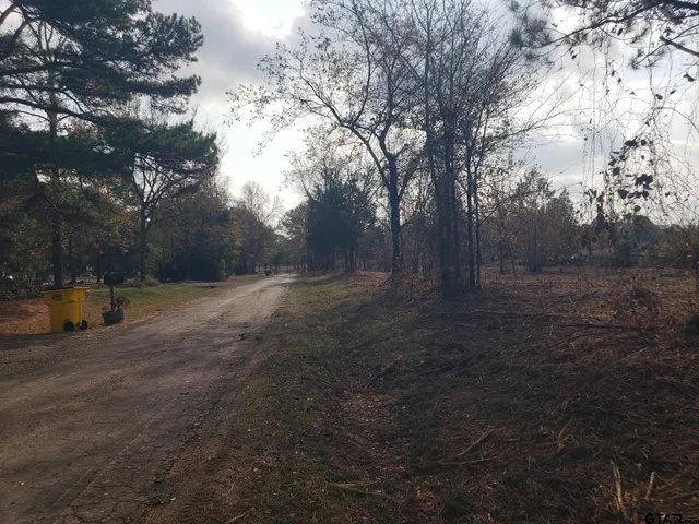 a view of backyard with tree