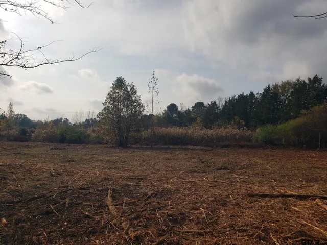 a view of dirt field with trees in background