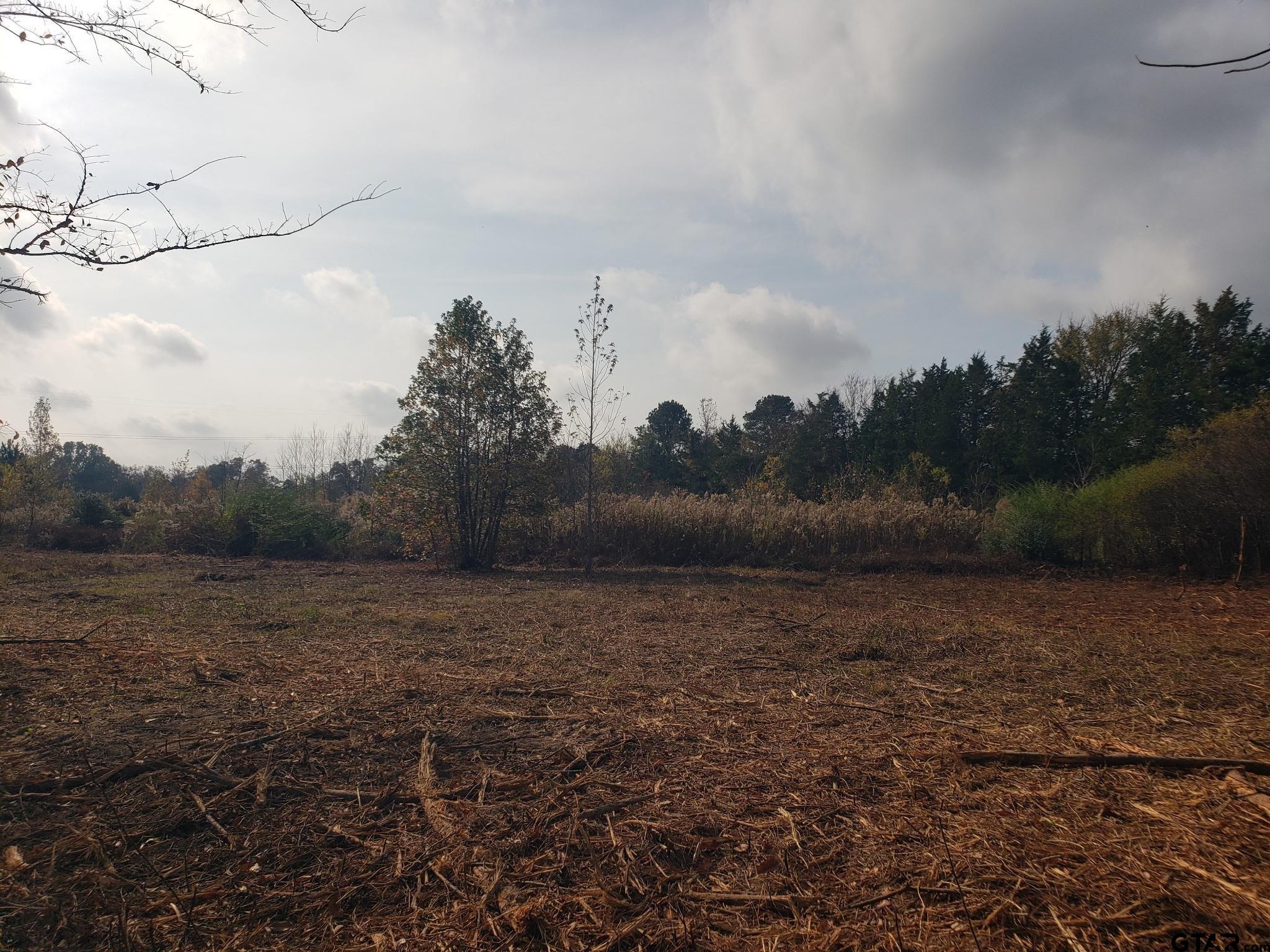 1552 10.097 Ac Long Branch Long Branch, TX 75669 - Photo 16 of 16 a view of dirt field with trees in background