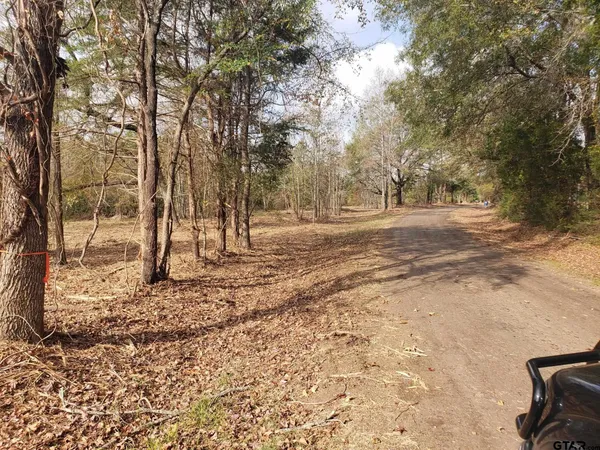 a view of dirt yard with a trees